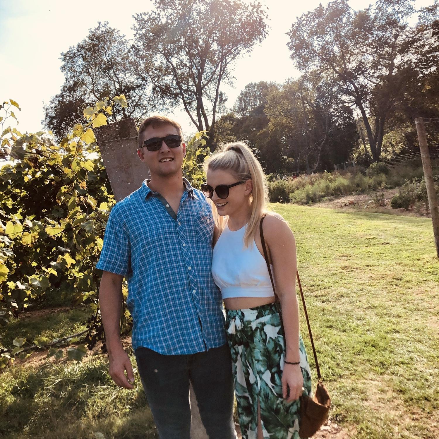 Maryland Vineyard