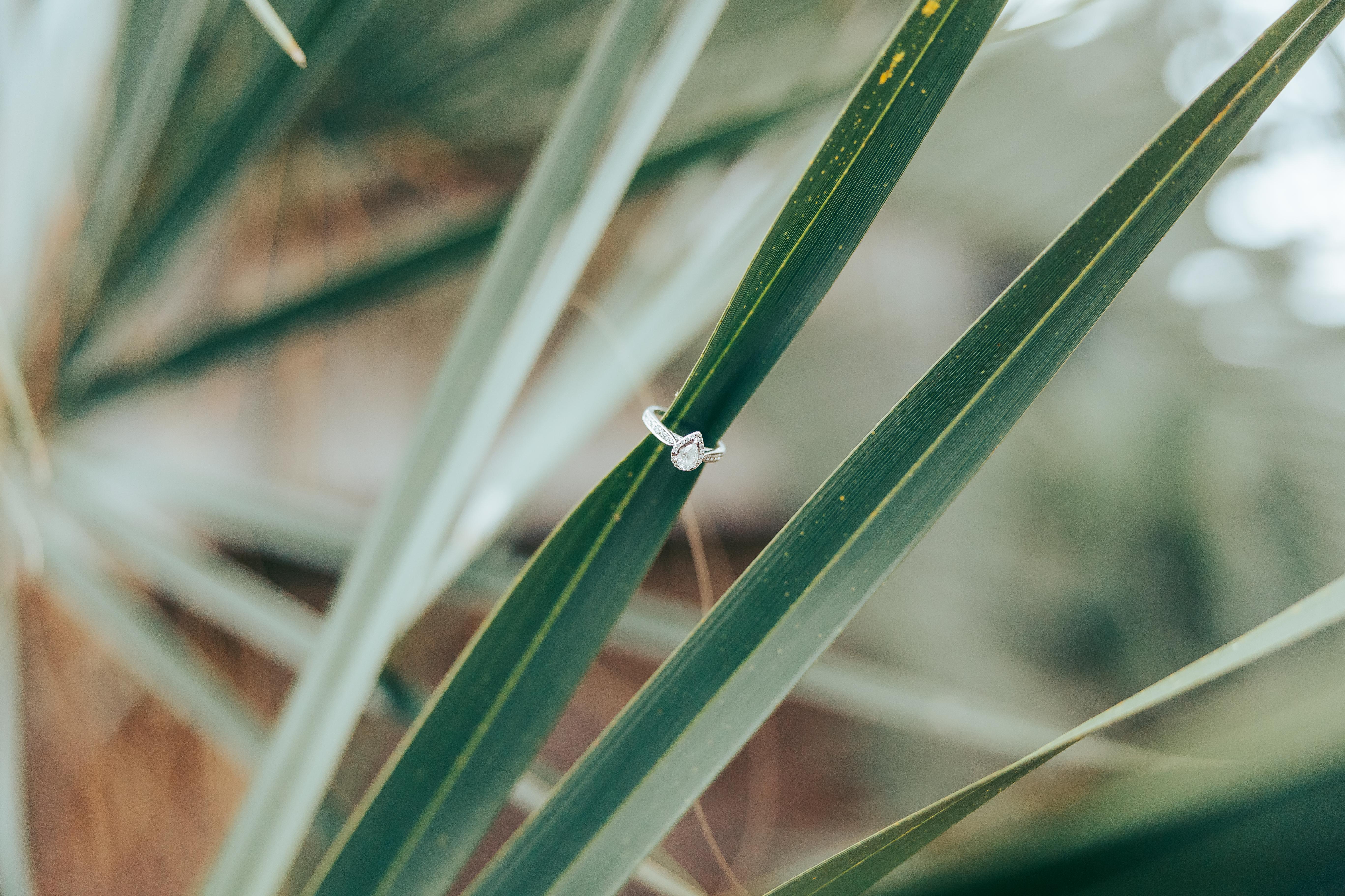 The Wedding Website of Korbyn Latimer and Fletcher Currie