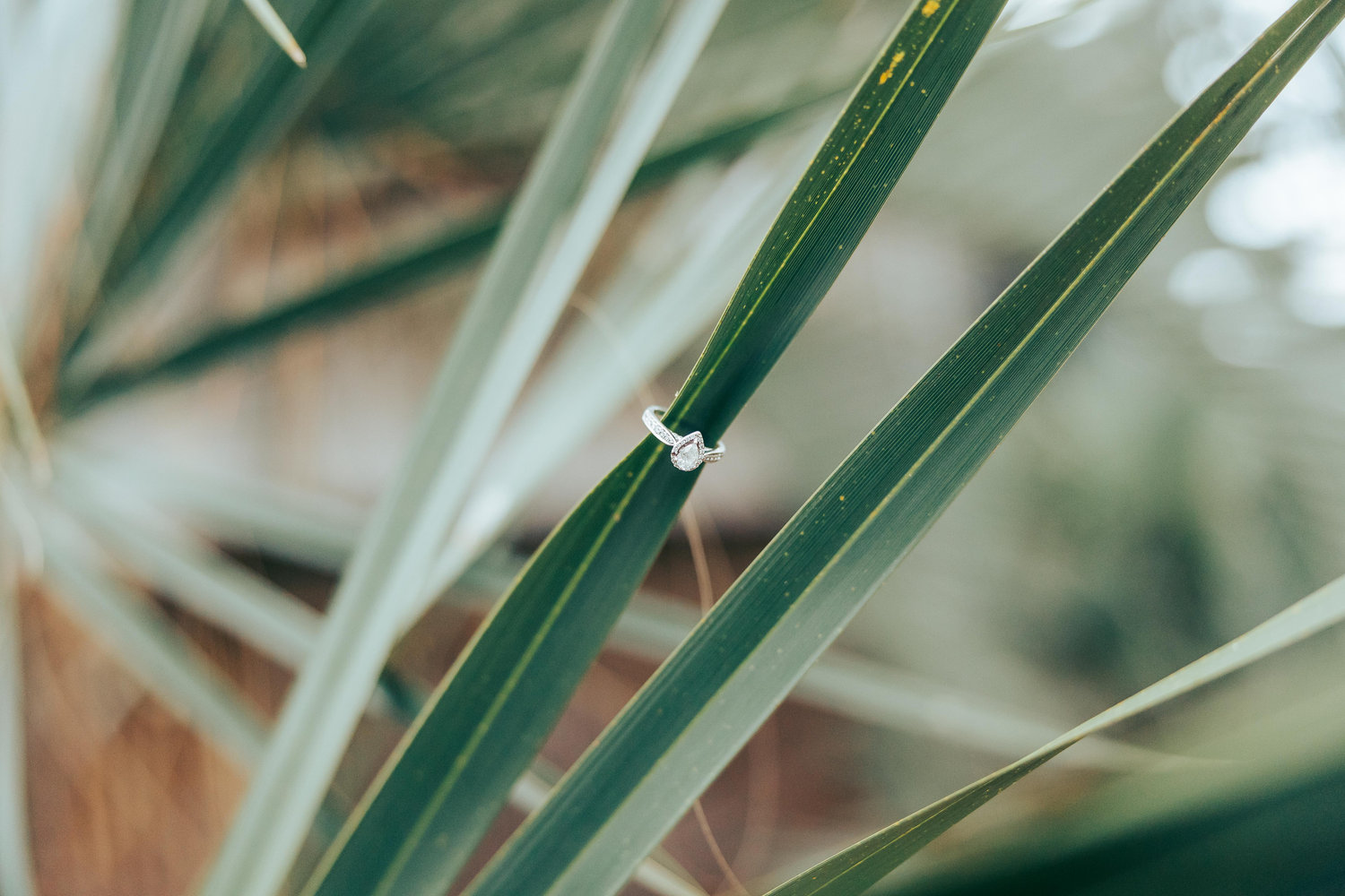 The Wedding Website of Korbyn Latimer and Fletcher Currie