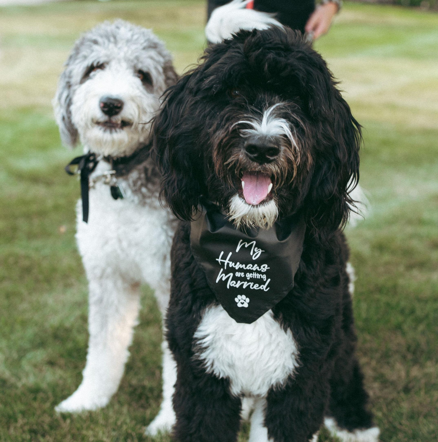 The Wedding Website of Paige Tomlinson and Tanner Erickson
