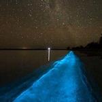 Bahia Bioluminiscente de Fajardo