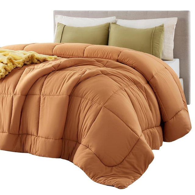 Bedsure Comforter Duvet Insert - Quilted Comforters Queen Size, All Season Duvet, GentleSoft Down Alternative Bedding, with 8 Tabs, Gifts for Women/Men, Burnt Orange, Queen 88 x 88 Inches