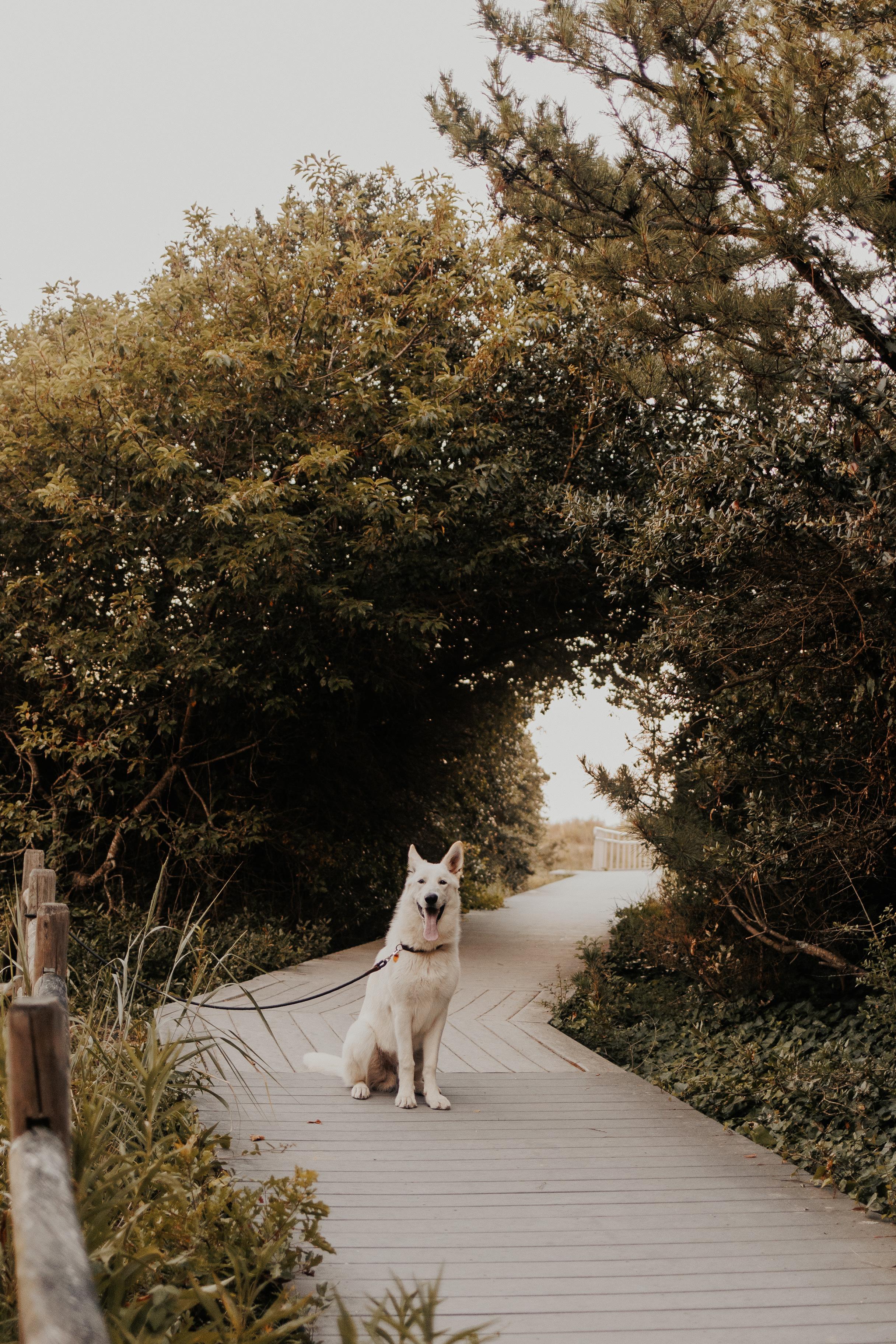 The Wedding Website of Morgan Tracy and Will Puckett