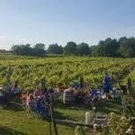 Holy Field Vineyard & Winery