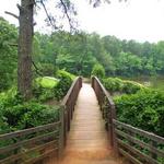 William B Umstead State Park Road