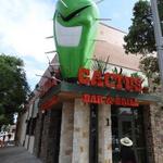 Angry Cactus