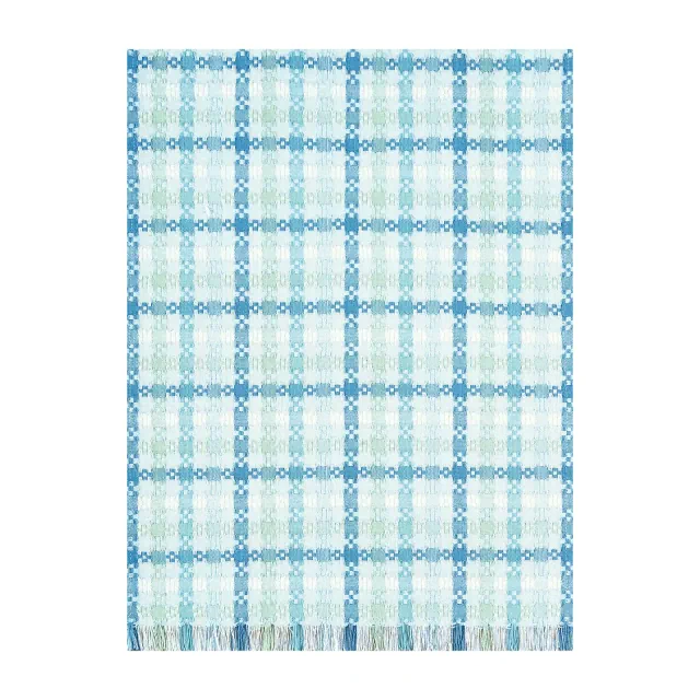 C&F Home Serene Plaid Woven Cotton Kitchen Towel Patriotic Dishtowel Decoration
