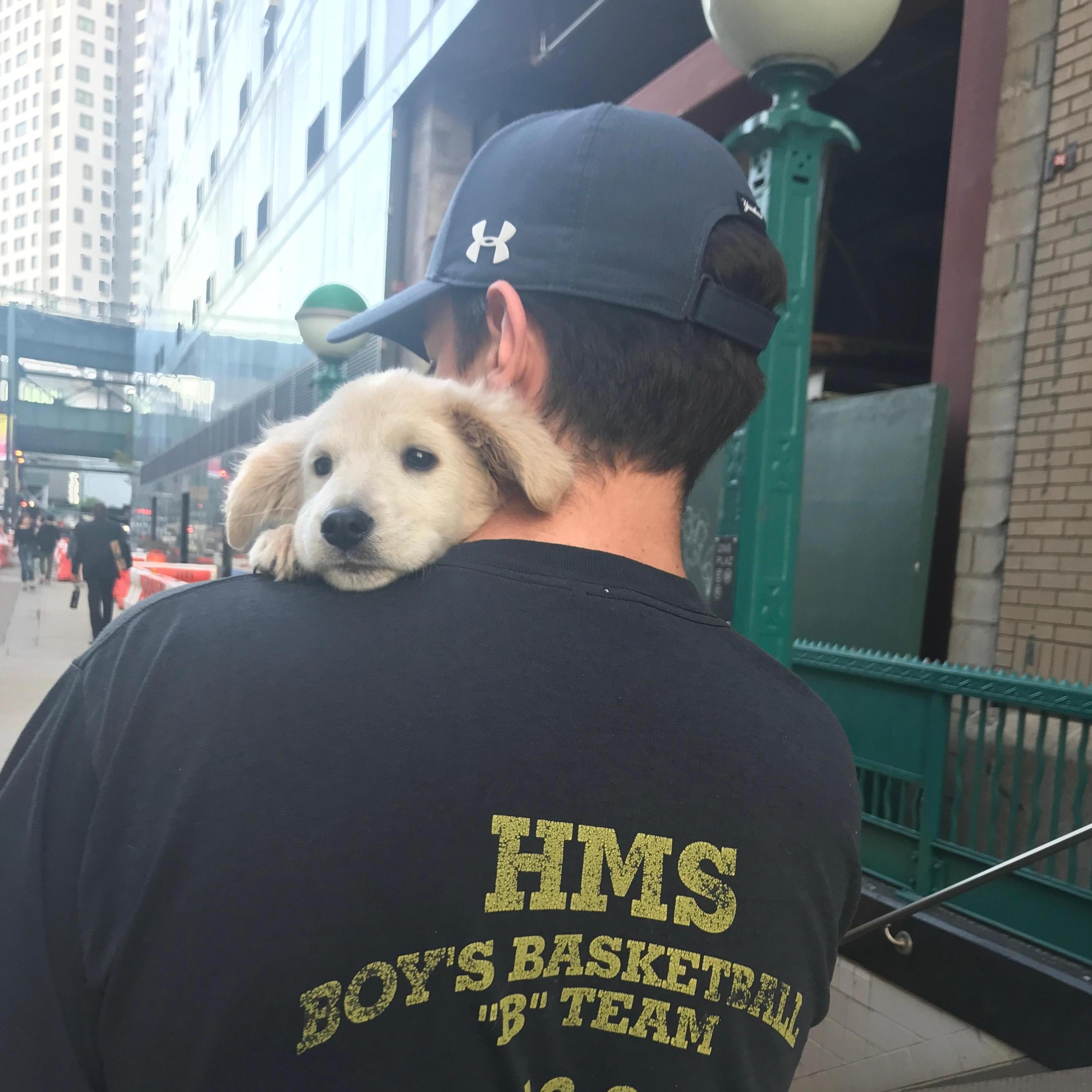 Post-first subway ride with Luna.