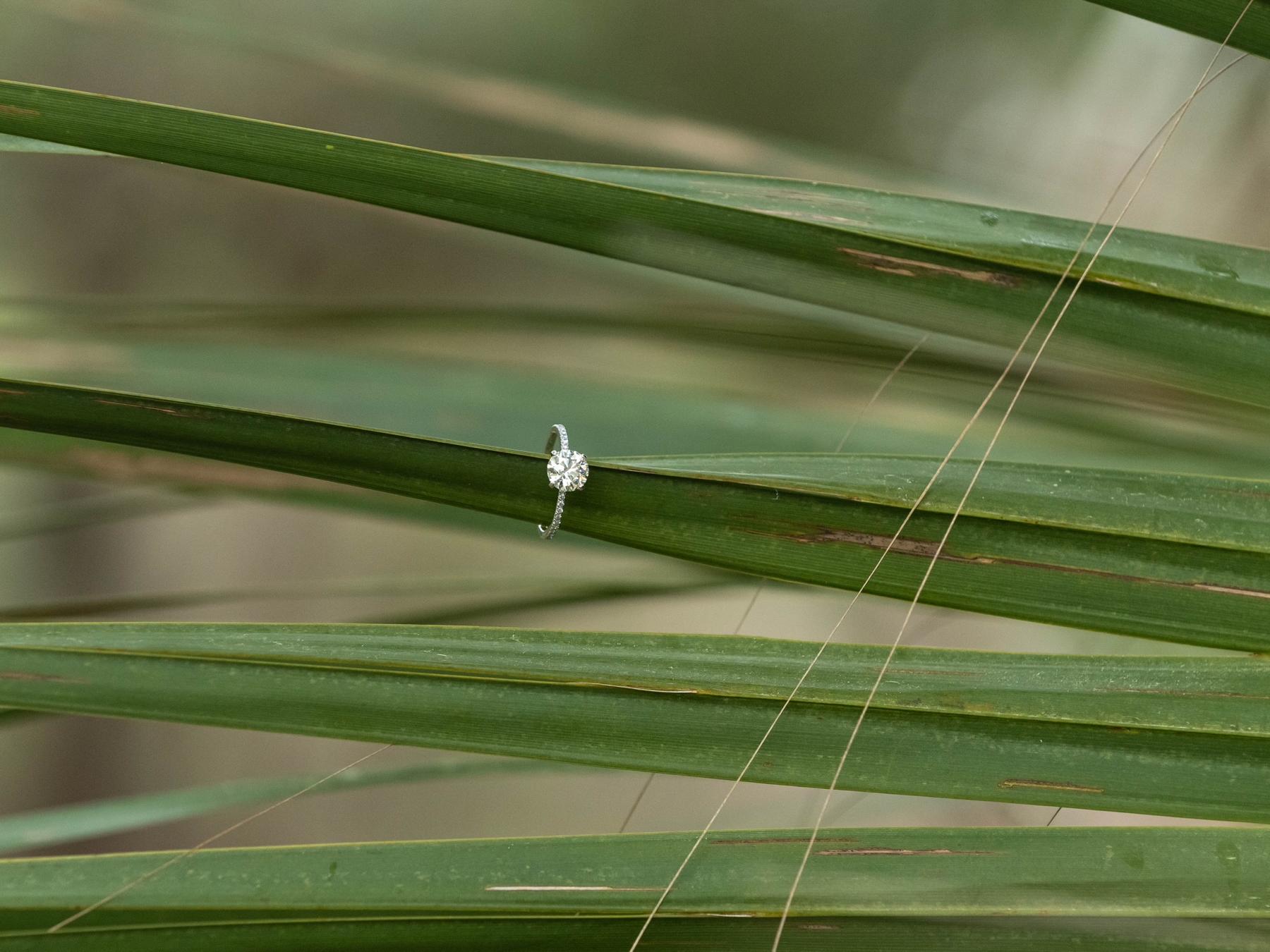 The Wedding Website of Jensen Newsome and John Shaughnessy