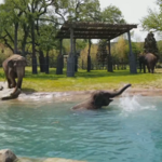 Fort Worth Zoo