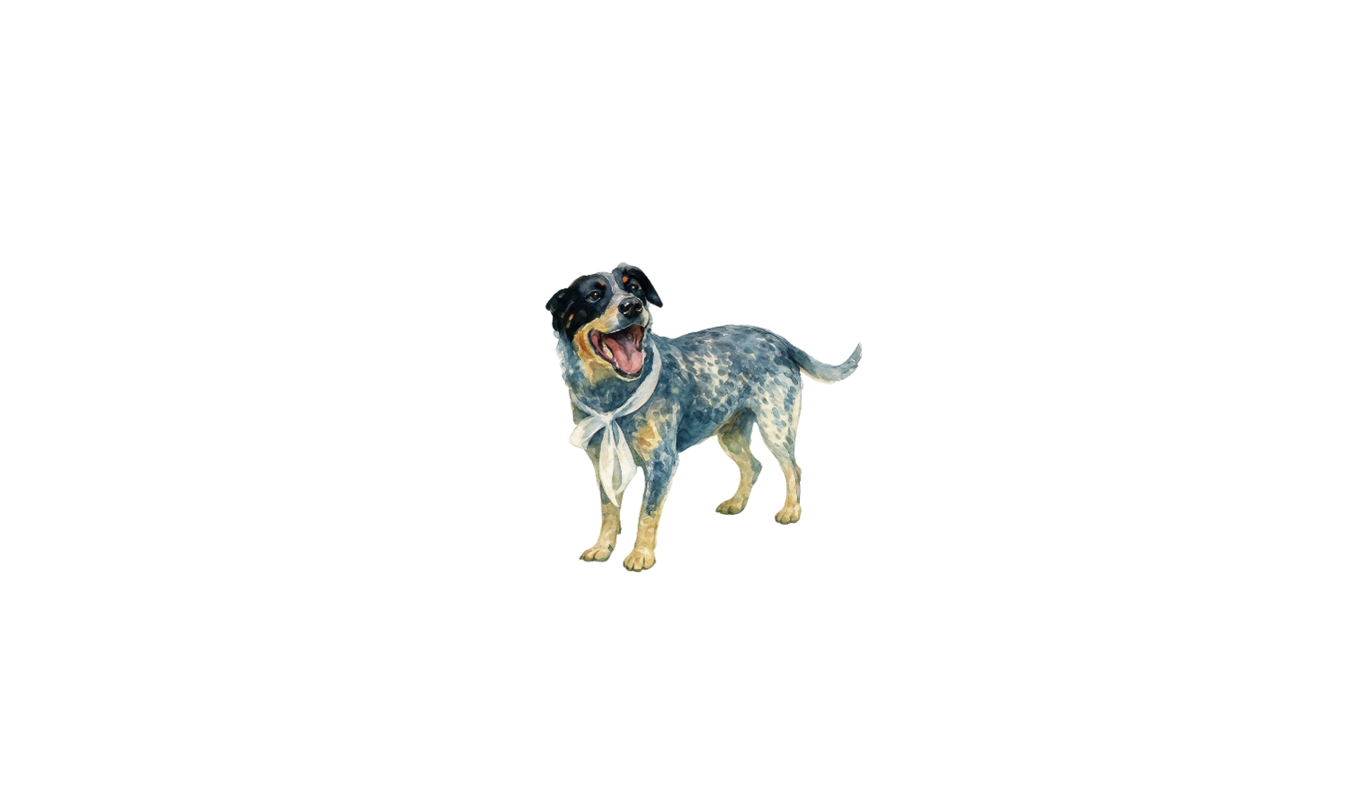 Footer image