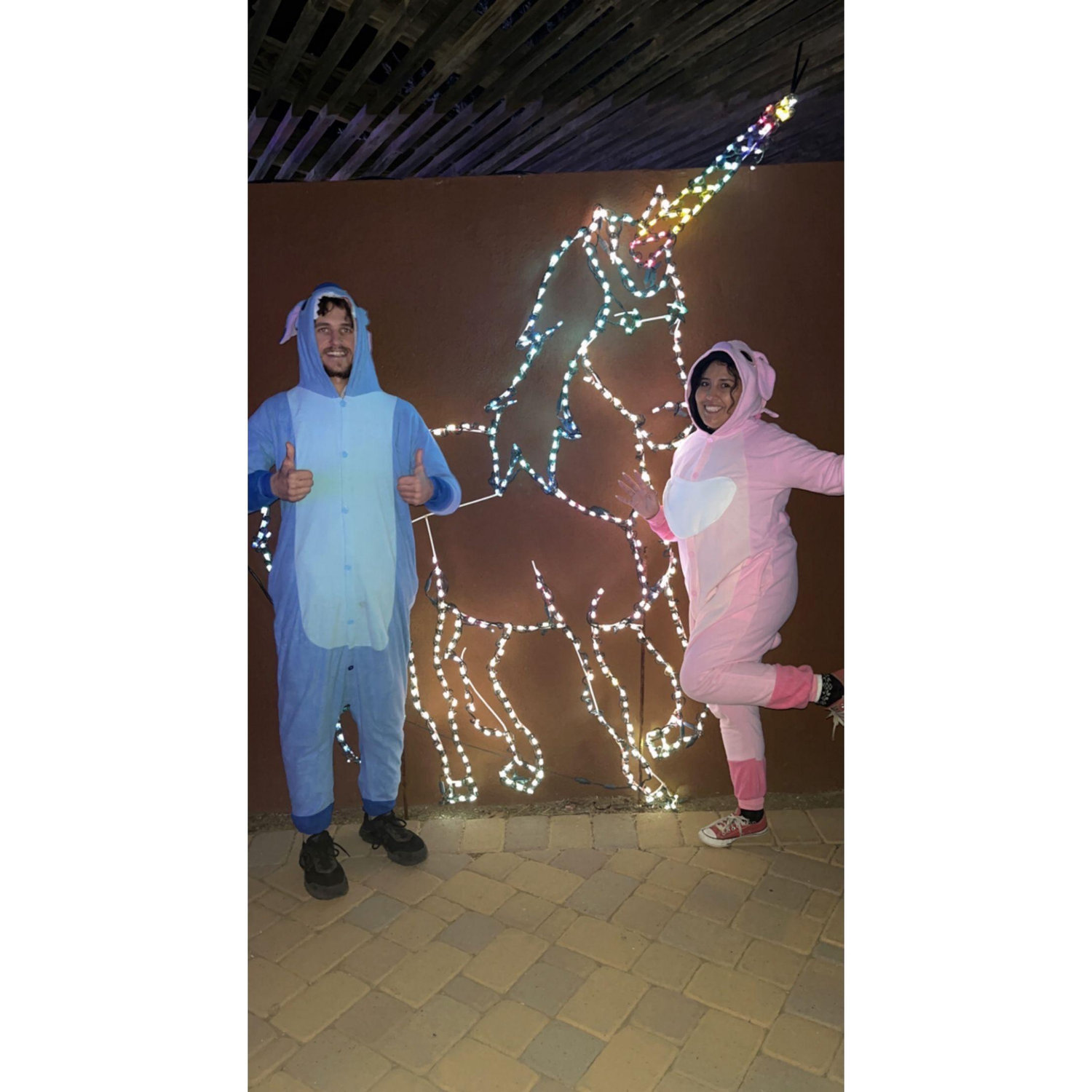 December 17, 2022. Anthony and I decided to dress up in matching onesie for the Zoo lights at the Phoenix zoo. We both had an awesome time walking around the zoo and enjoying hot cocoa!!