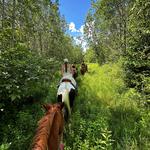 Book a trail ride with One Horse Acres