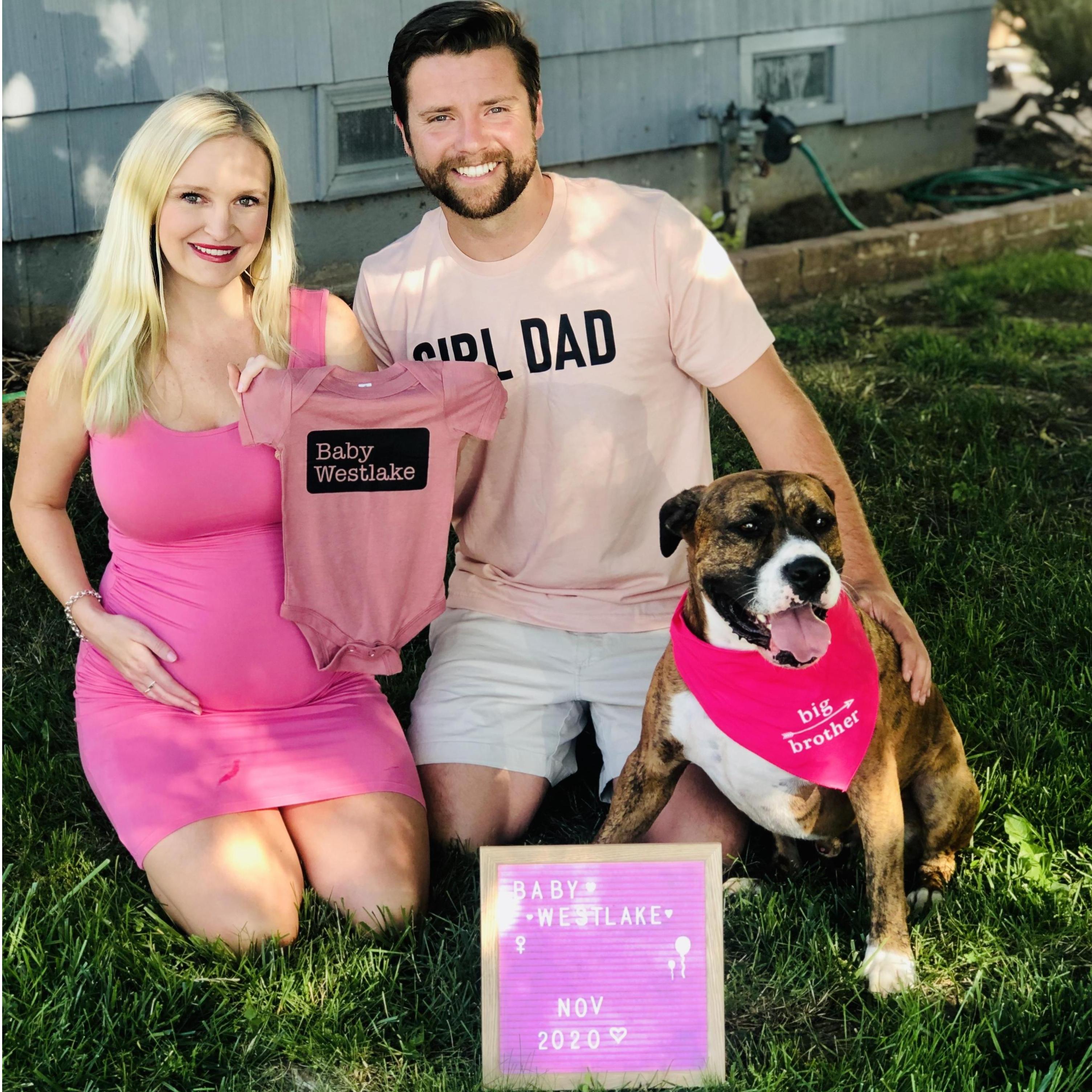 Announcing Shannon's pregnancy in June 2020!