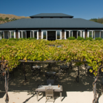 Black Barn Vineyards