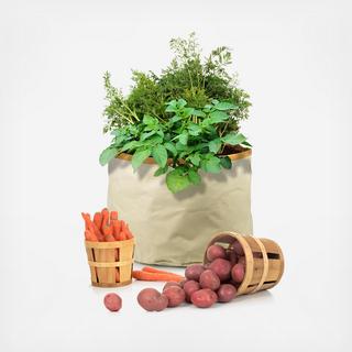 Homegrown Gourmet Root Vegetables Harvest Grow Bag