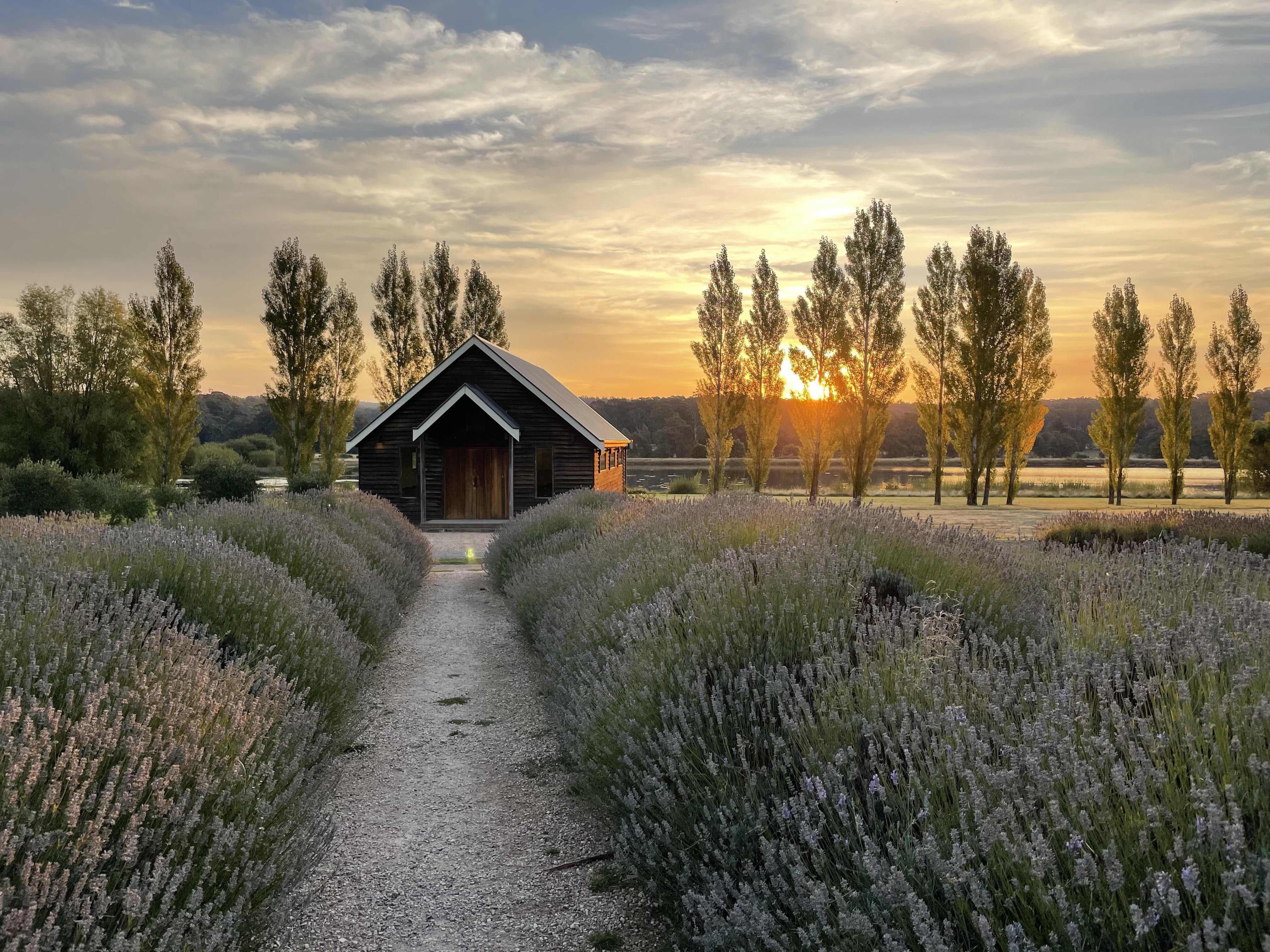 The Wedding Website of Jordan Dunne and Tahli Hosken