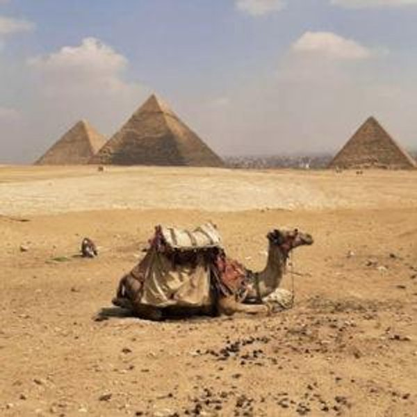 Camel rides to the Great Pyramids