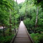 Hike at Eno River State Park