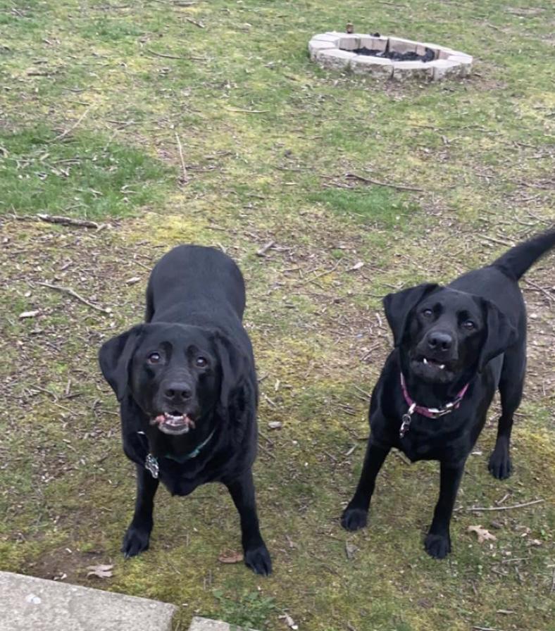 Bella and Lucy