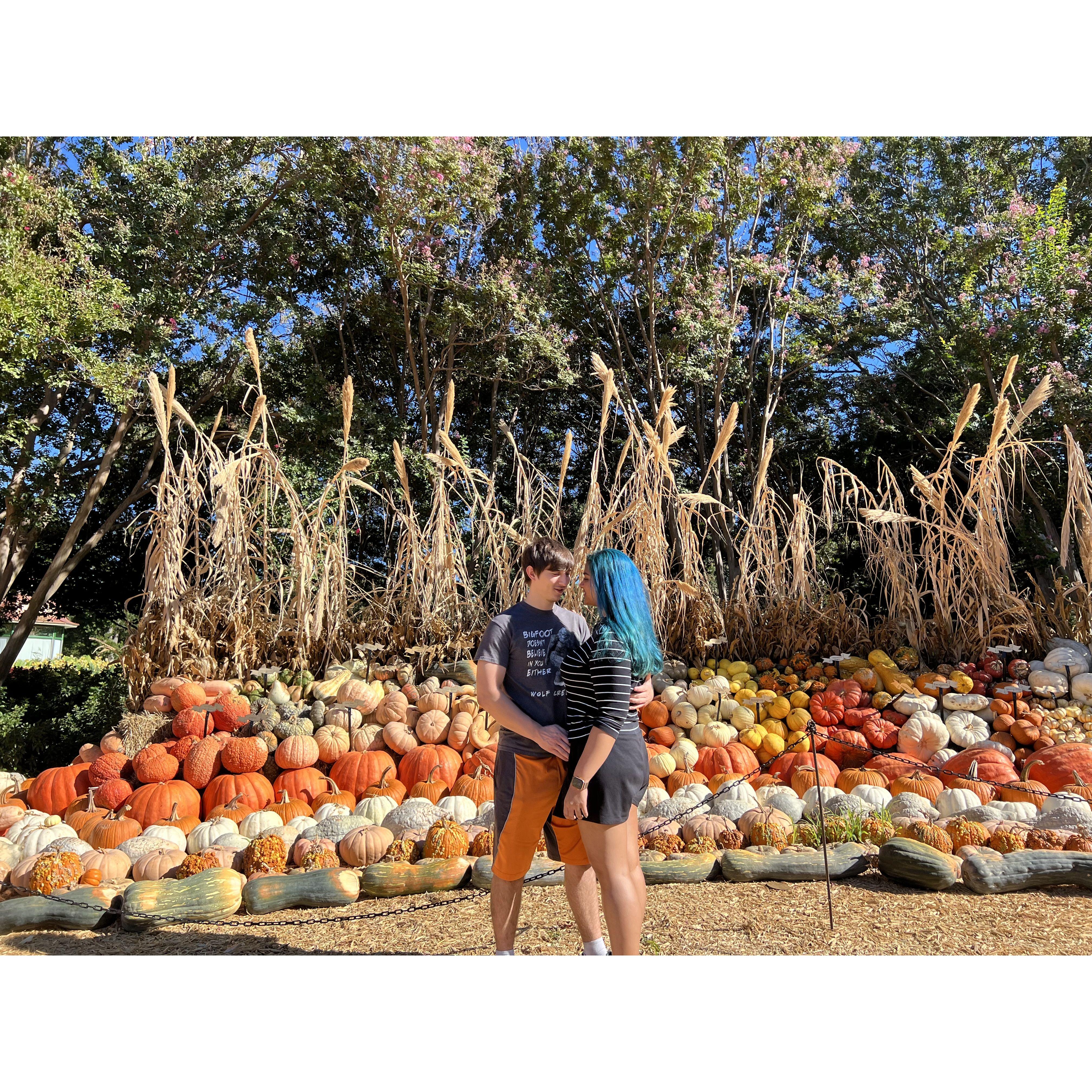 We picked the best pumpkins in the pumpkin patch ;)