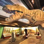 Museum of Science