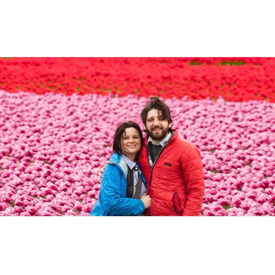 More tulips in Skagit Valley