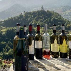Madeira Wine Tour & Tasting Flight