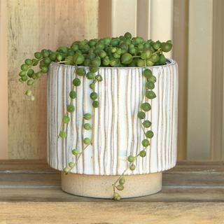 Ramos Vertical Stripe Cachepot, Set of 2