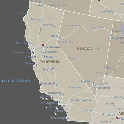 Gallery Wrapped - Earth Toned USA Travel Map with pins