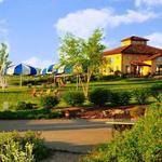 Blue Sky Vineyard
