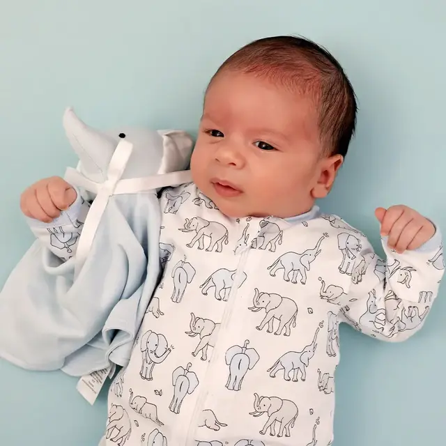 Blue Elephants Zipper Footie