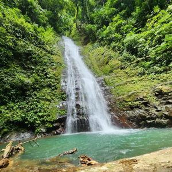 Rainforest Hike and Waterfall Safari