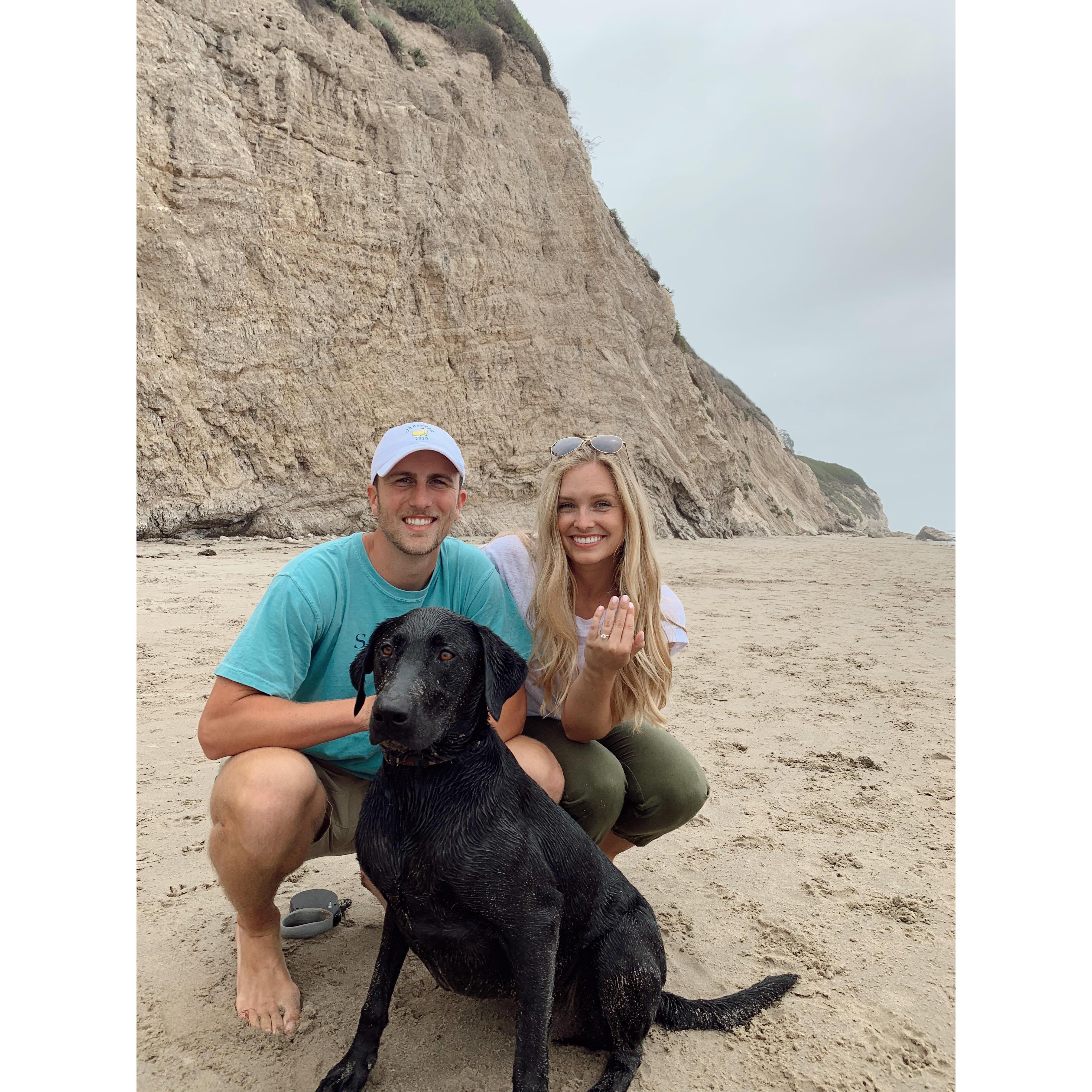 Even Myles was there to celebrate our engagement!