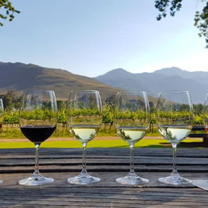 Wine Tasting Day