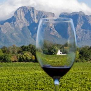 South African Wine Tasting in the Winelands