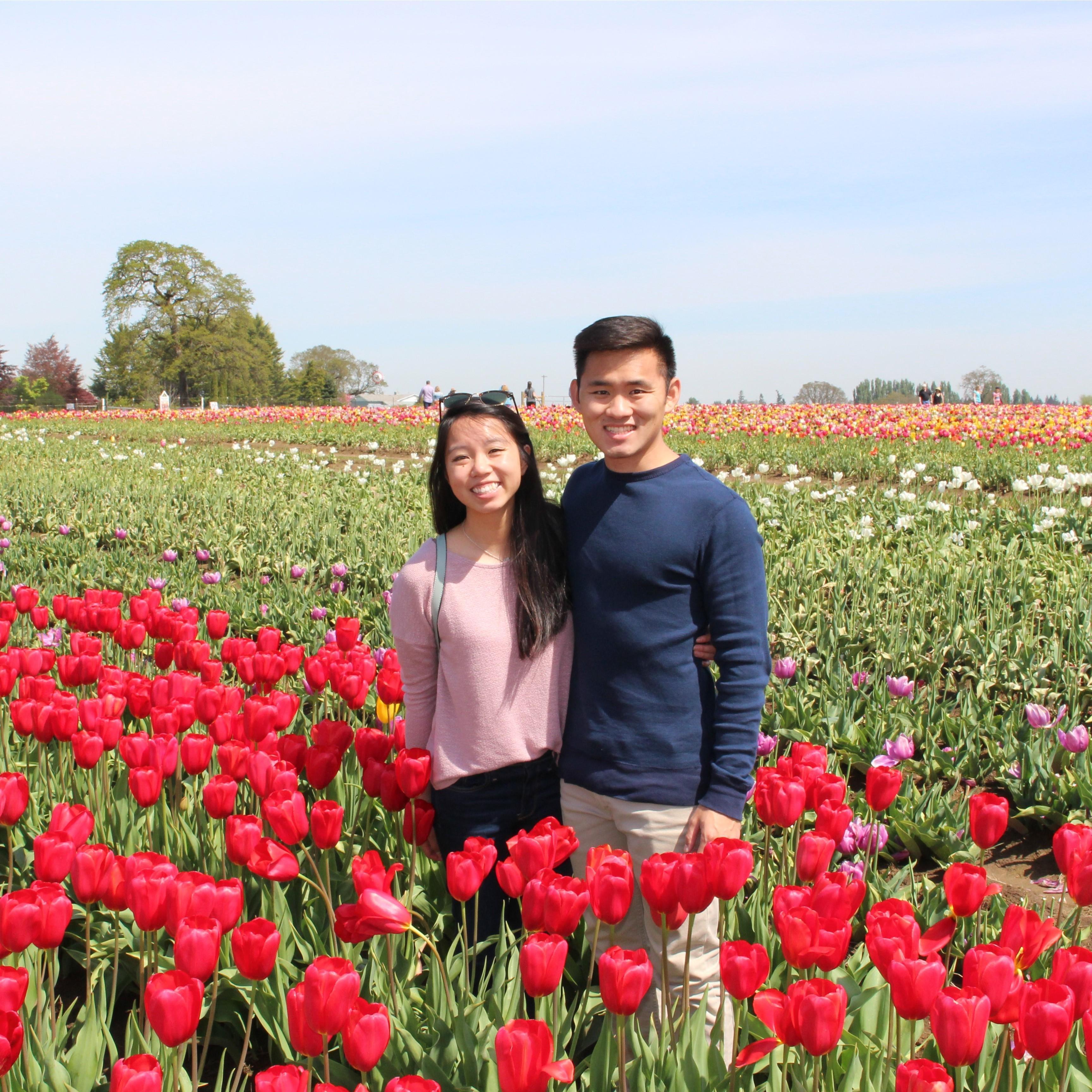 04/2016 - Wooden Shoe Tulip Fesitval
Woodburn, OR