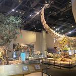 Perot Museum of Nature and Science