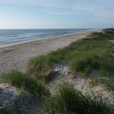 Pea Island National Wildlife Refuge