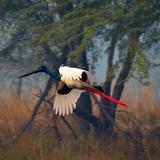 Sultanpur National Park