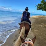 Puerto Plata 3 hour horse back riding/ tour