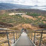 Diamond Head Crater Trailhead