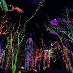 Meow Wolf Santa Fe | House of Eternal Return