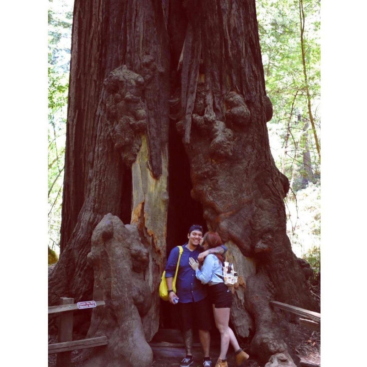 In the Redwoods, moments after getting engaged!