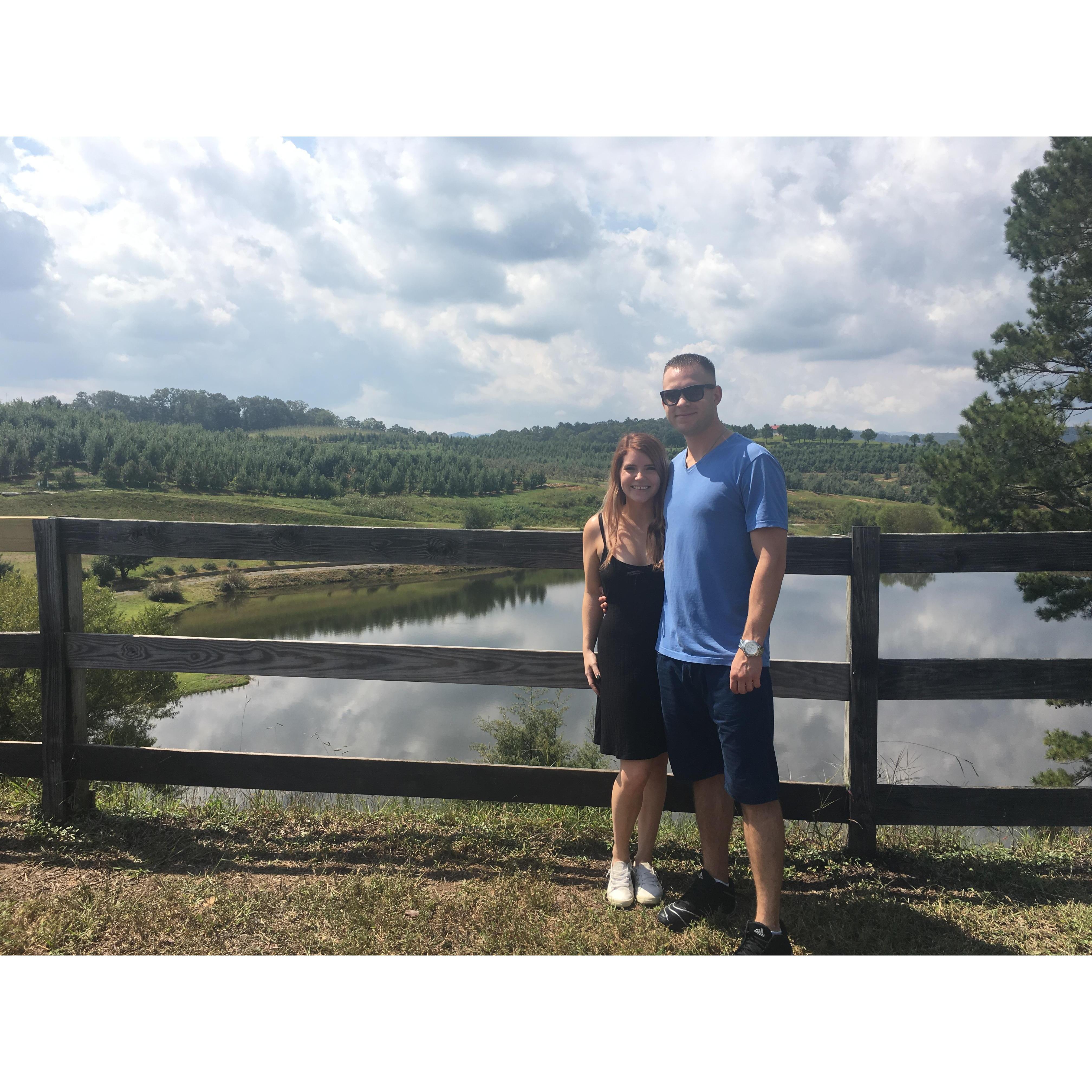 Mercier Orchards