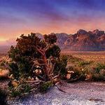 Red Rock Canyon