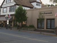 The Birchwood of Polish Town