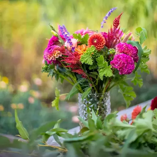 2020 FALL Flower Share (CSA) Every Other Week - September & October