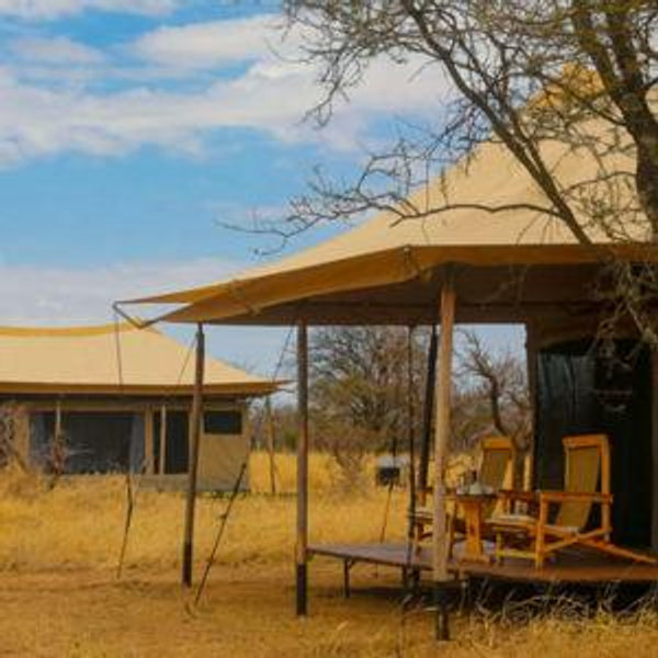 Serengeti