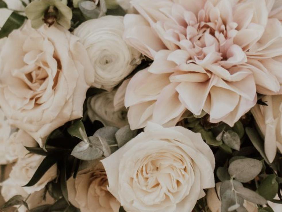 The Wedding Website of Alyssa Perez and Henry Groh